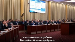 В Саратовской области возьмут под контроль восстановление птицефабрик