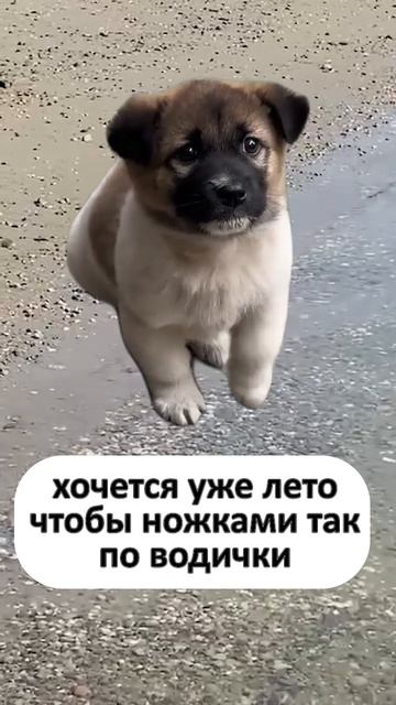 поскорей бы #highlights #twitch #gaming #funny #slivka #мем #стример #strimer