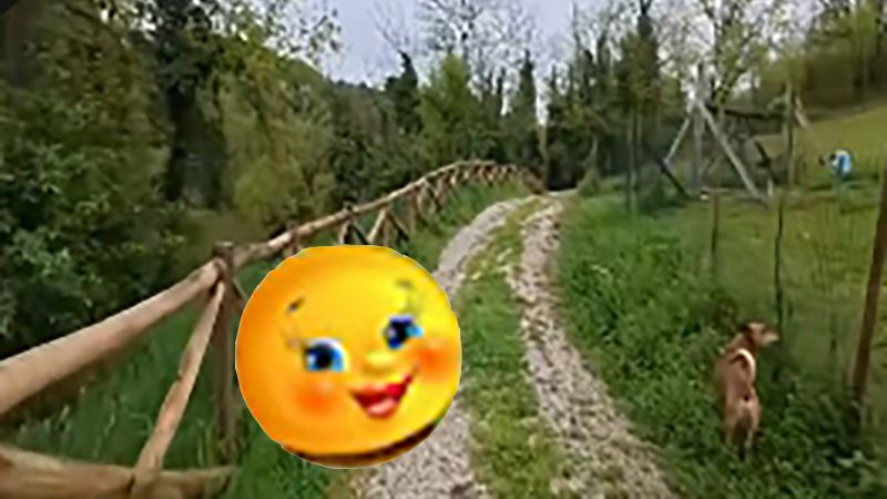 Аня Колобок - приключения украинца в Шереметьево