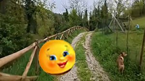 Аня Колобок - приключения украинца в Шереметьево