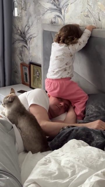 Три кота и Милана