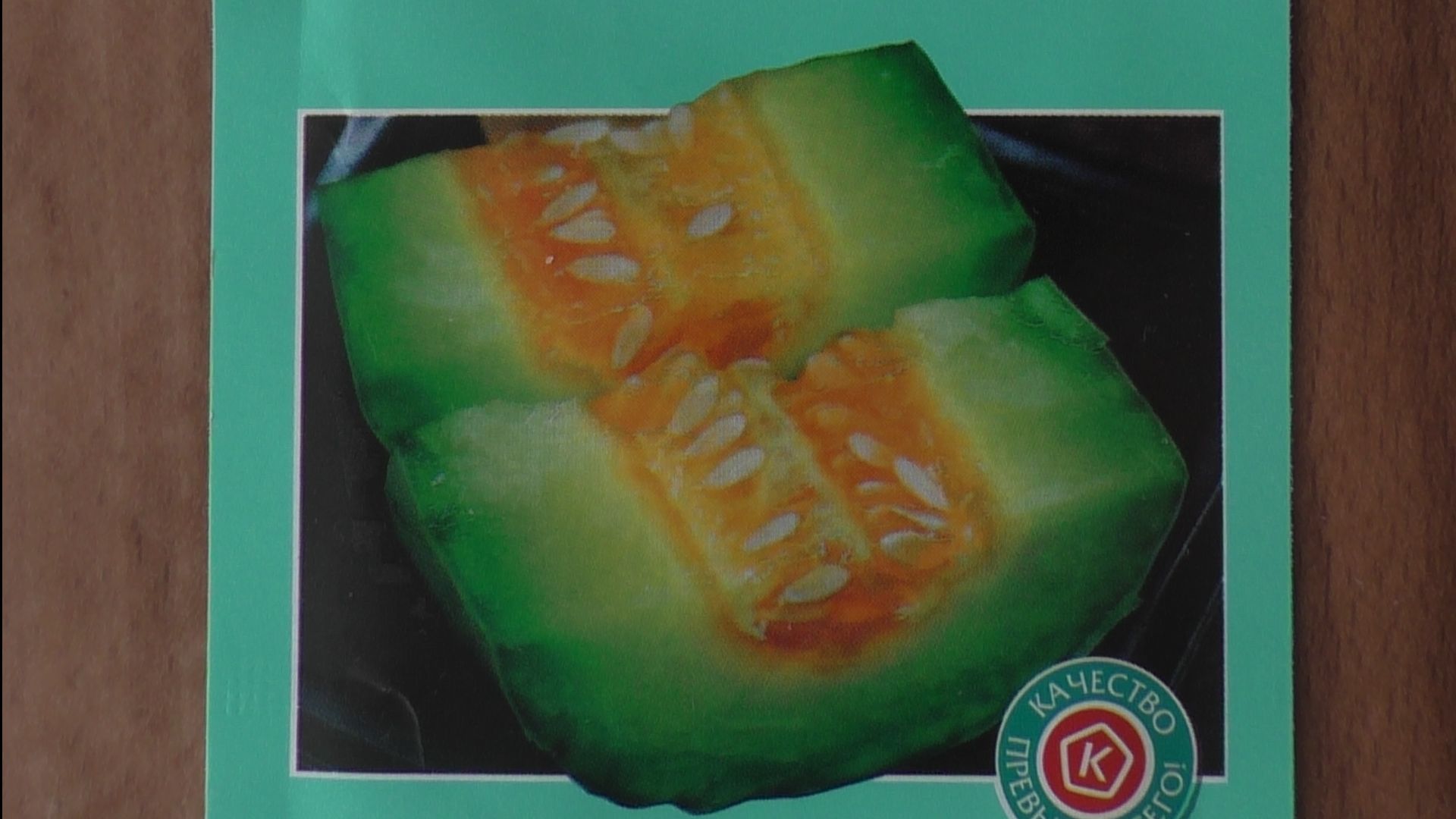 Первые всходы огурдыни