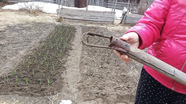 Вышла в свой огородик🥳💪 🫜