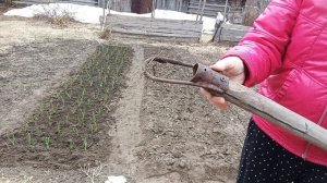 Вышла в свой огородик🥳💪 🫜