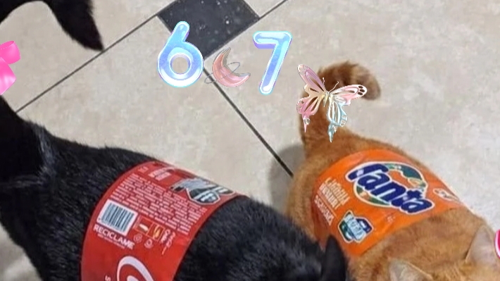 моё первое видео с монтажом(оцените пожалуйста 🥺).