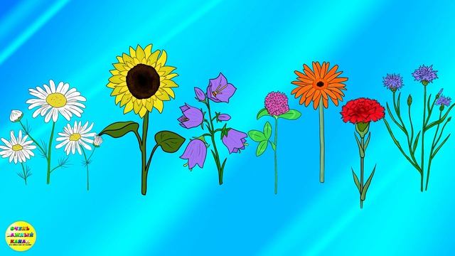 Учим цветы. Развивающий мультфильм для детей.