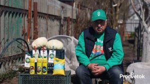 КОВАРНАЯ ОШИБКА ПРИ ВЫРАЩИВАНИИ КАПУСТЫ, из-за которой вы теряете урожай!