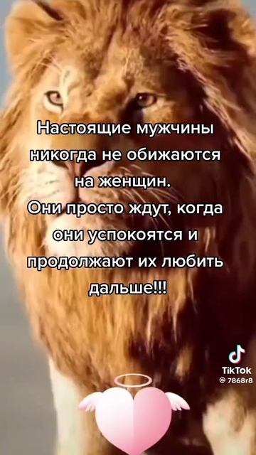 Не надо обижаться