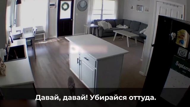 Уничтожает свидетеля