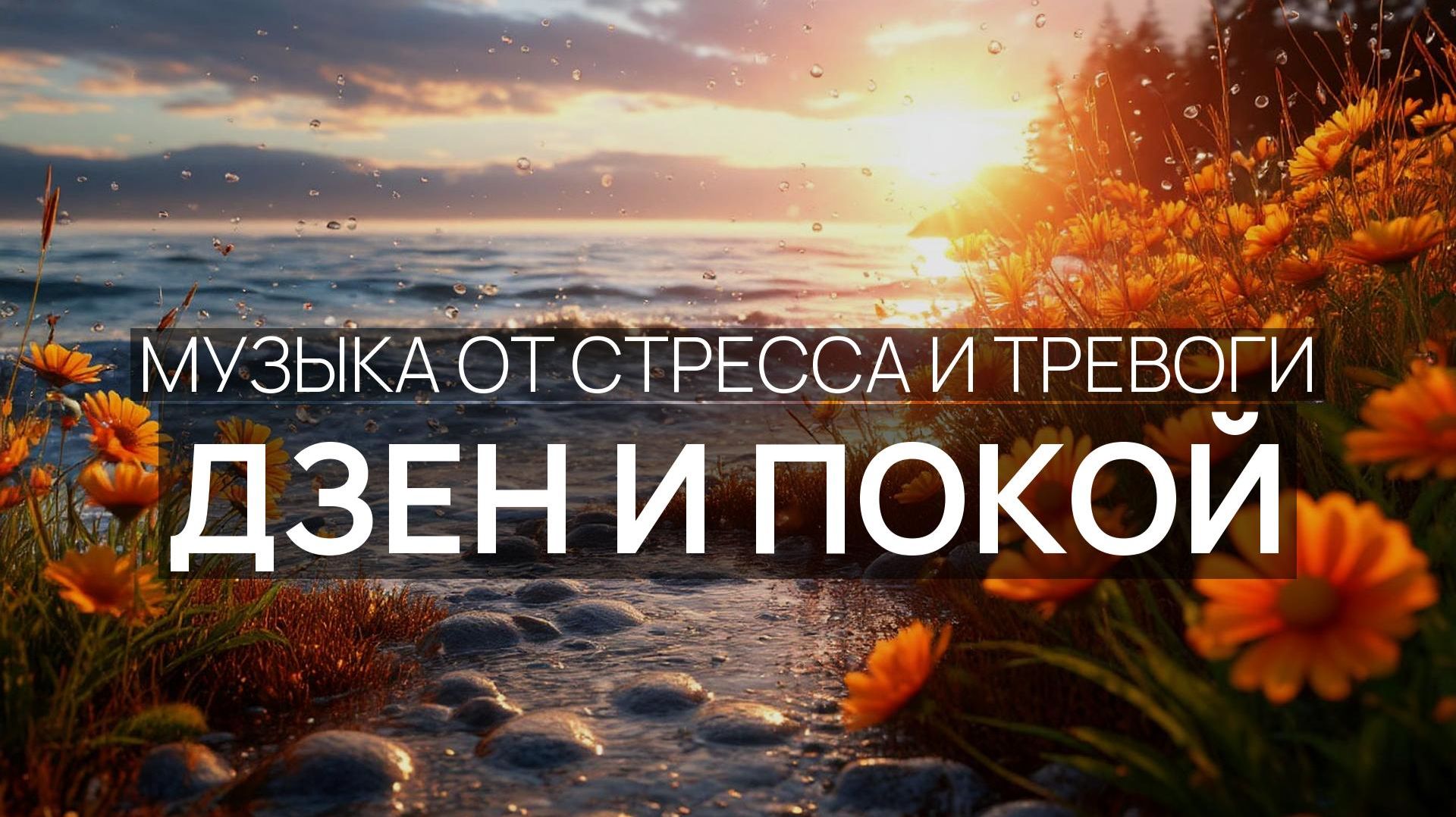 Дзен и покой 🌹 Звуки глубины 🌴 Пальмовый рай 🌿