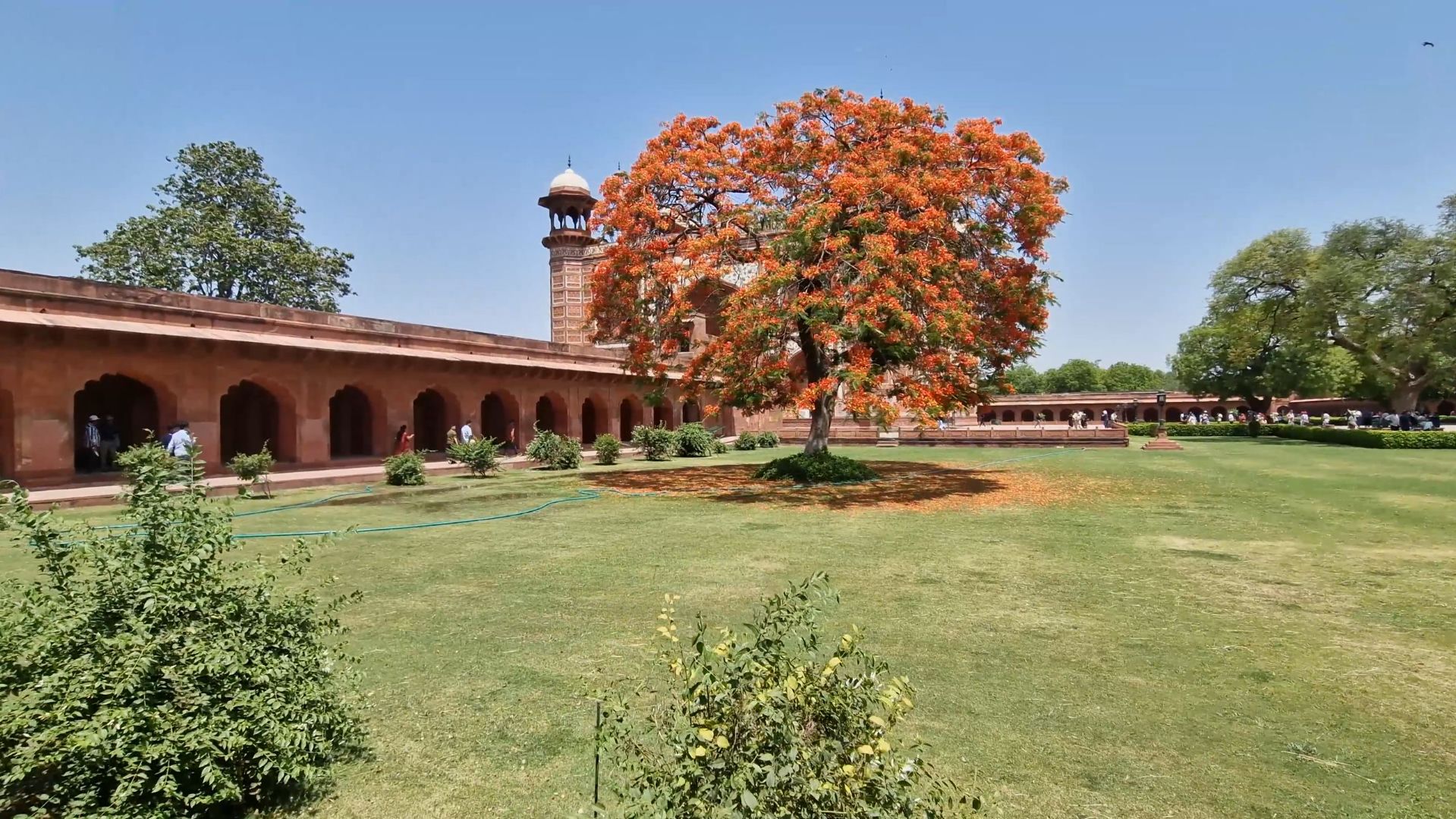 Агра - Тадж-Махал - Индия 2026 - День 5