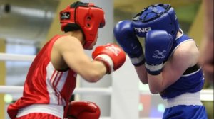 БИТВЫ МАНИКЕНОВ