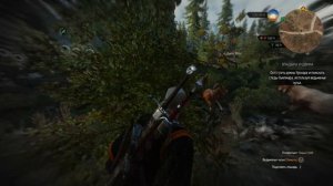 The Witcher 3 прохождение ч30