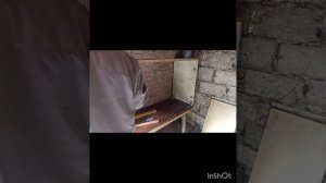 Цыплятам 16 -17день , ЧаПуши😅