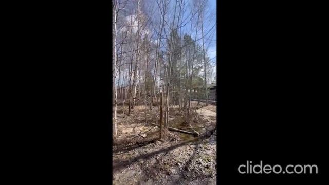 СНТ Березка смотреть онлайн