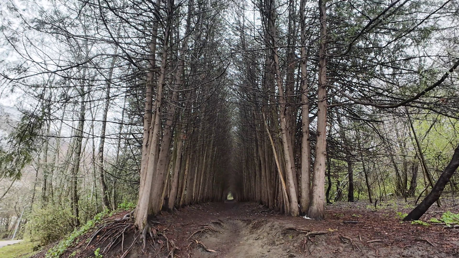 Кисловодск. Неведомые дорожки национального парка. 1 часть.