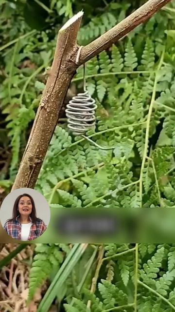 Пчеловодам на заметку!  #минитрактор #трактор