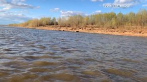 Семья Чолак. Конкурс «Семья года-2026»