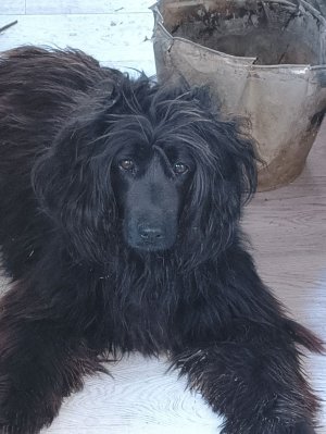 Серые будни..