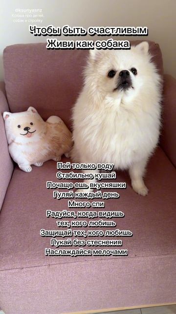 Уроки жизни от Кокосяна 🩷