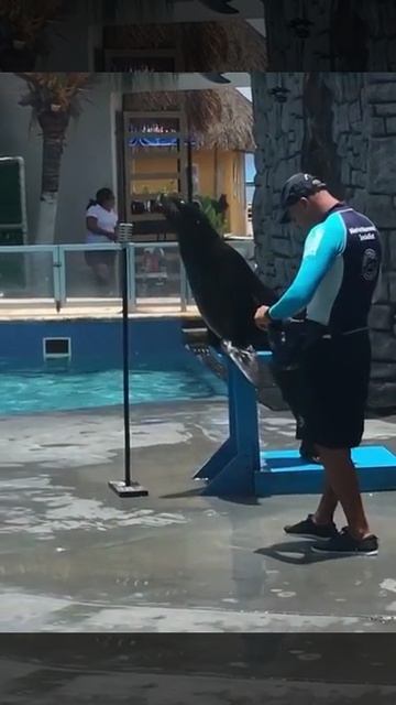 VID_20260421_222821_209.mp4