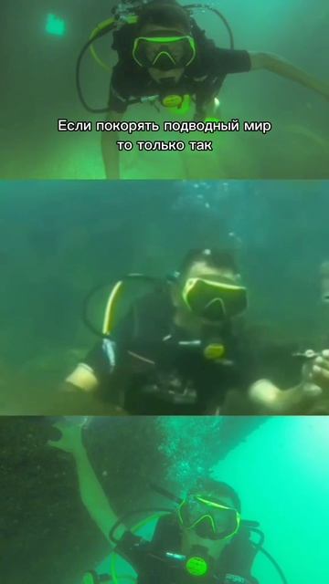 Вот где только спокойно 🌎
#подводныймир #дайвинг #жизньпрекрасна