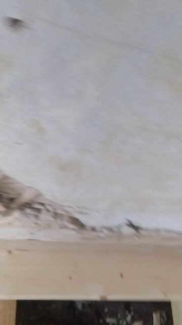 Пол.Начинаю завершать.