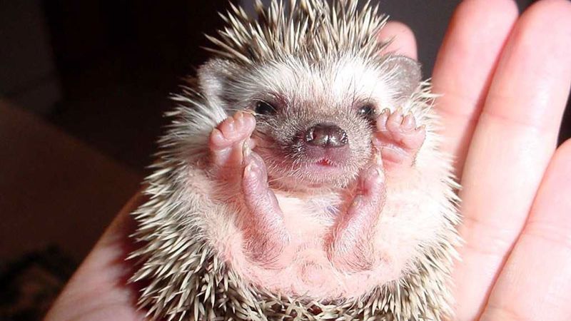 Уважаемые Мои Подписчики !!! Не Болейте, Берегите Себя и Близких !!!