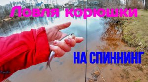 | Ловля "ОГУРЦОВ" корюшки на спиннинг |