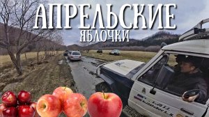 Сахалин - открытие внедорожного сезона, проверка машин перед Крильоном