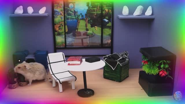 Приключение в лабиринте с хомяками! найдем спрятанное сокровище! часть 6