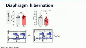 Diaphragm trauma exists during mechanical ventilation Ewan Goligher Leo Heunks ISICEM 45