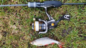 Silver Stream Neo Line NL602EXUL первые впечатления