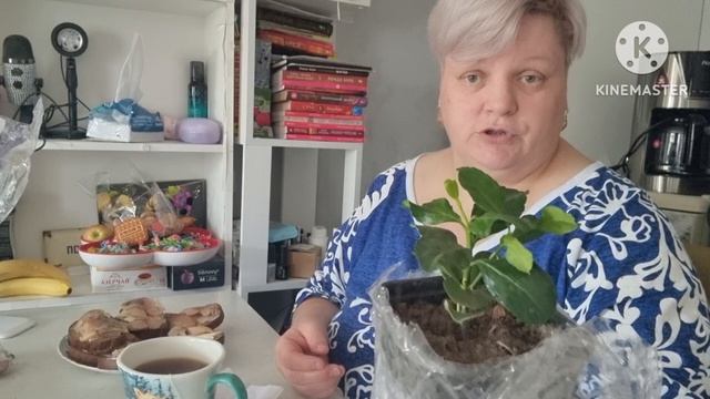 ДОБРОЕ УТРО 🌄 ГОТОВЛЮ БУТЕРБРОДЫ🥰ЗАВТРАК👍😊