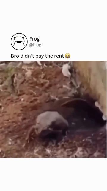 Когда не оплатил аренду вовремя