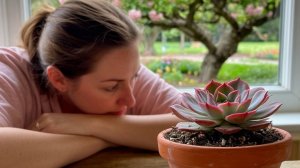 Такая красота!😍 Вариегатная эхеверия+плюс инструкция : как укоренить суккуленты из 📦