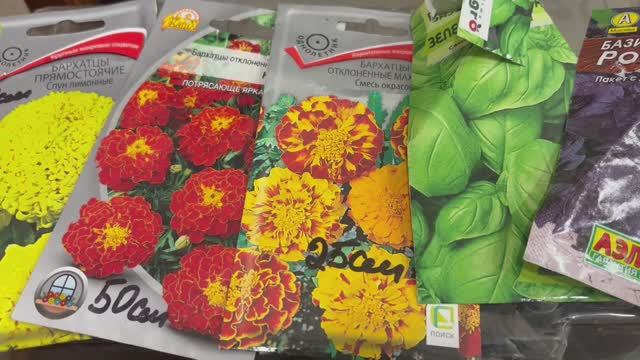 Почему выбрала бархатцы и свеклу.