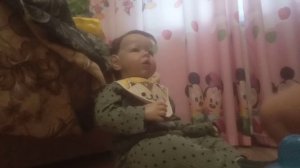 день с реборном Энеем