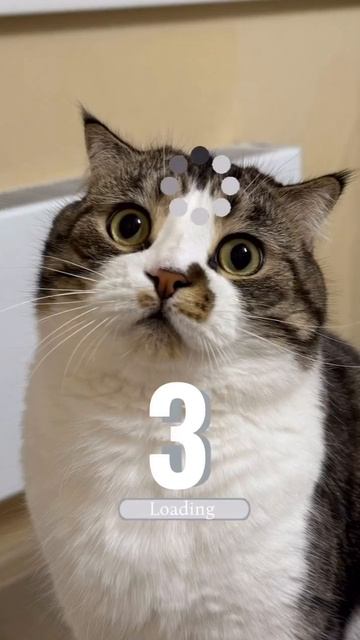 быстро приложи палец!!!!!