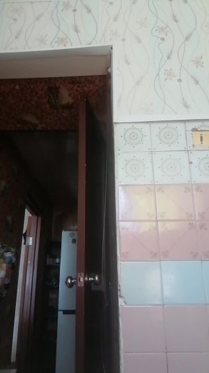 Адская недокухня. Жареный полуфабрикат. Рыба, (точнее-кусок от неё).