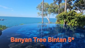 Banian Tree Bintan 5* Vip отель на острове Бинтан #индонезия #бинтан