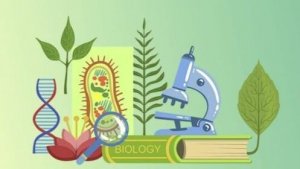 Биология 8 класс. Воля, эмоции, внимание.