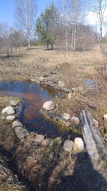 Паводок прошёл