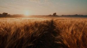 Праздника нет