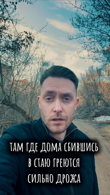 Максим Сентяков - Звёзды бегут врассыпную… (стихотворение)