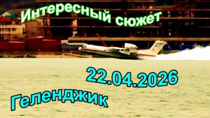 Геленджик.  Интересный сюжет, который встретился мне в бухте 22 апреля 2026