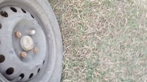 Я видел маньяков