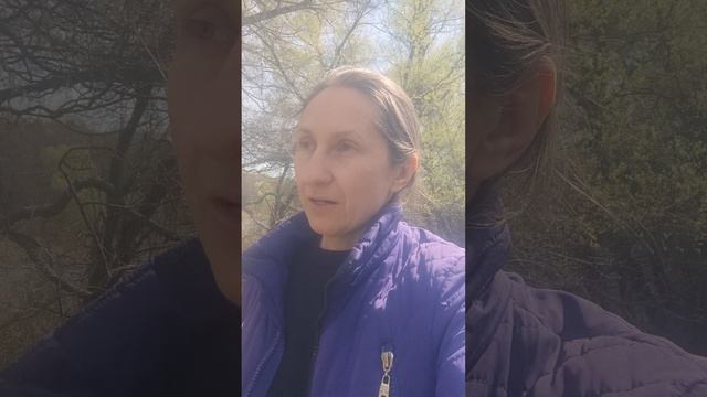 О новых целях, мечтах и трудностях...