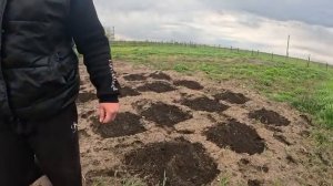 Наталья Губарева. ПОСАДИЛА ТЫКВУ ⧸ЖИЗНЬ В ДЕРЕВНЕ