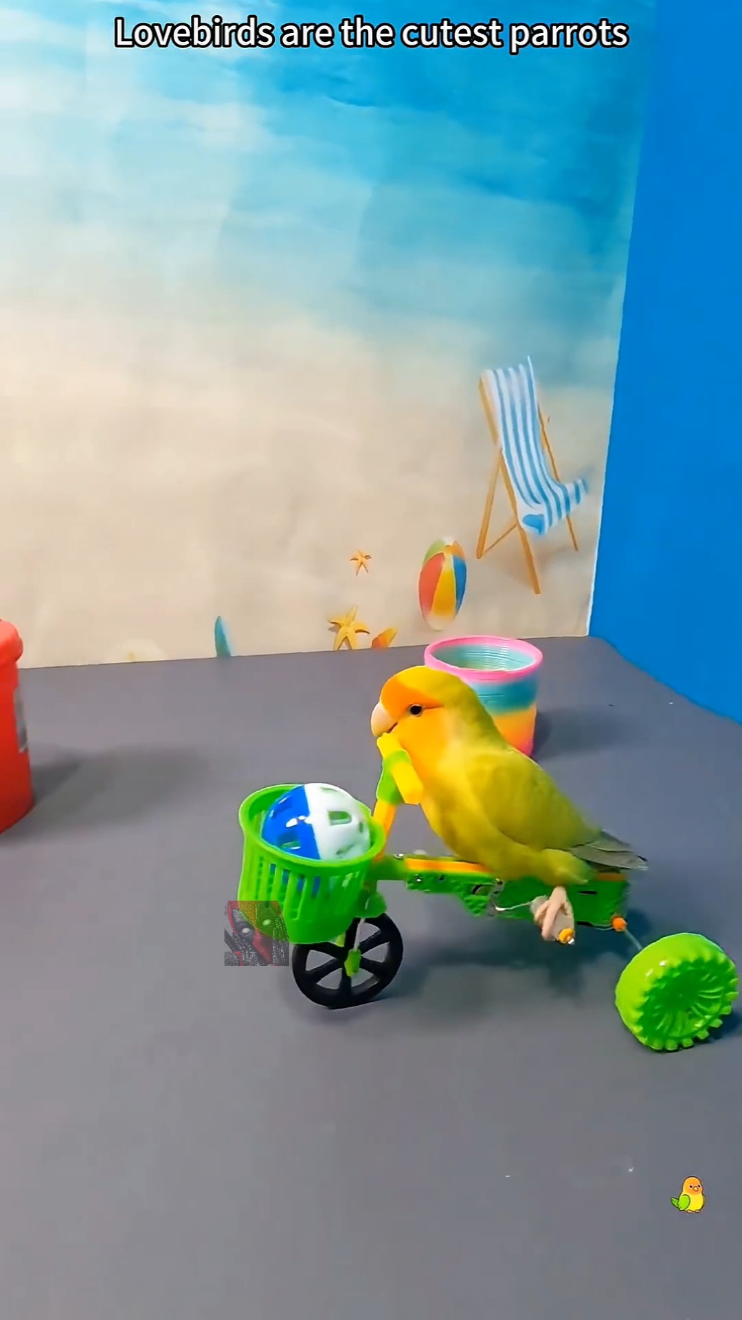 Аплодисменты стоя снимая шляпу 🤣🫶🐱